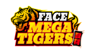チーム別取材・フェイスメガタイガース